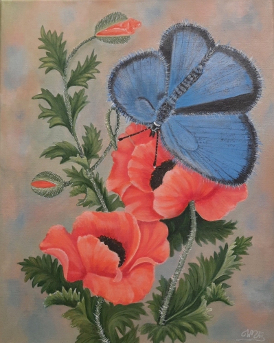 Modraszek, akryl na płótnie, 50 x 40 cm, niedostępny