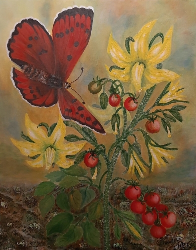 Czerwoniczyk, akryl, 50 x 40 cm, niedostępny